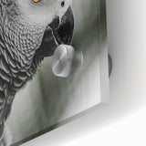 Close-up of vibrant wall art featuring a colorful parrot design on acrylic glass, showcasing intricate details and vivid hues, perfect for bird lovers and home decor enthusiasts.