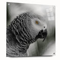 Colorful acrylic wall art featuring a stunning parrot design, elegantly displayed from a side view with pins, perfect for vibrant home decor.