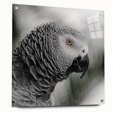 Colorful acrylic wall art featuring a stunning parrot design, elegantly displayed from a side view with pins, perfect for vibrant home decor.