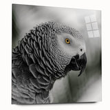 Colorful acrylic wall art showcasing a vibrant design of parrots, displayed from the side view against a bright background, ideal for bird and nature enthusiasts.