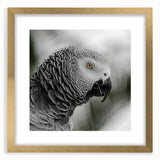 Framed wall art featuring a vibrant parrot design, set in a gold frame with a white mat, ideal for tropical-themed decor and bird enthusiasts.