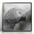 Framed wall art featuring a vibrant design of colorful parrots on a black background, perfect for adding a tropical touch to home decor. Ideal for bird lovers.