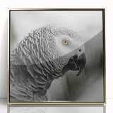 Framed acrylic wall art showcasing a vibrant collection of parrots in gold accents, ideal for adding a touch of nature-inspired elegance to any room décor.