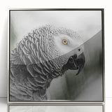 Framed wall art collection featuring vibrant parrots in a lush tropical setting, with a sleek silver frame that enhances the colorful design, perfect for home decor.