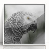 Framed wall art featuring a vibrant design of colorful parrots on a white background, perfect for adding a tropical touch to home decor. The acrylic frame enhances the vivid colors, making it an eye-catching piece for any room.