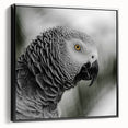 Framed canvas wall art featuring a vibrant parrot design in a sleek black frame. The artwork showcases colorful birds perched on branches, ideal for adding a tropical touch to home decor.