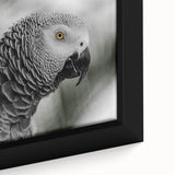Vibrant close-up of a framed canvas wall art featuring colorful parrots against a lush green background, ideal for tropical-themed decor. Perfect for bird lovers.
