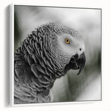 Framed canvas wall art featuring a vibrant design of colorful parrots against a white background, showcasing detailed bird illustrations, perfect for home decor.