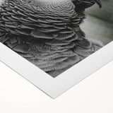 Vibrant rolled canvas artwork showcasing a colorful collection of exotic parrots perched among tropical foliage, perfect for enhancing home decor with a touch of nature.