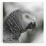 Colorful canvas wall art featuring a vibrant design of various parrots perched among tropical leaves, ideal for home decor or bird enthusiasts.