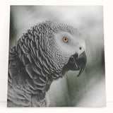 Vibrant stretched canvas wall art showcasing a colorful parrot design, perfect for adding a tropical touch to home decor, leaning against a white wall.