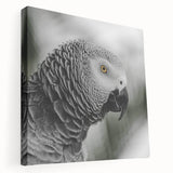 Vibrant stretched canvas wall art featuring colorful parrots on a tropical branch, perfect for adding a lively touch to home decor. Ideal for bird lovers and nature enthusiasts.