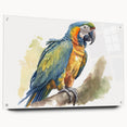 Colorful parrot wall art design displayed in a modern acrylic glass frame, showcasing vibrant feathers and intricate details, perfect for bird lovers' home decor.