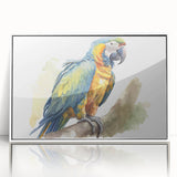 Framed wall art featuring a vibrant collection of parrot illustrations on a white background, perfect for adding a tropical touch to home decor. The artwork showcases colorful birds in a stylish design, ideal for nature lovers and bird enthusiasts.