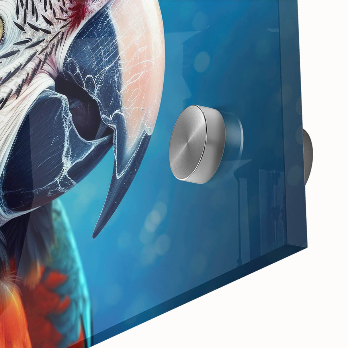 Close-up of vibrant acrylic wall art featuring a colorful collection of tropical birds and parrots, showcasing intricate details and vivid hues, perfect for home décor.