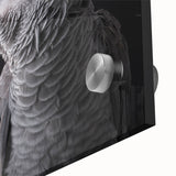 Vibrant close-up of a parrot-themed wall art design, showcasing intricate details and bold colors on acrylic glass, ideal for home decor enthusiasts.