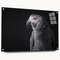 Vibrant wall art collection featuring a colorful design of various parrots in an acrylic glass frame, displayed from a side view with decorative pins.