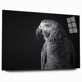 Acrylic wall art collection showcasing vibrant parrot designs in a modern, colorful style. The artwork is displayed in a side view, featuring intricate details and bright colors, perfect for tropical-themed decor.