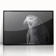 Framed wall art featuring a vibrant collection of colorful parrots, displayed in a sleek black frame with acrylic front, perfect for enhancing living spaces.