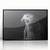 Framed wall art featuring a vibrant collection of colorful parrots, displayed in a sleek black frame with acrylic front, perfect for enhancing living spaces.