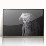 Framed wall art collection featuring vibrant parrot designs in acrylic with a gold frame, showcasing colorful tropical birds for an eye-catching decor piece.