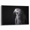 Framed canvas wall art featuring vibrant parrot designs in a colorful tropical setting, showcasing intricate details and bold hues, perfect for home decor.