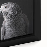 Close-up of a vibrant framed canvas wall art featuring a colorful parrot design, showcasing intricate details and vivid colors, perfect for home decor and bird lovers.