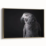 Framed canvas wall art collection showcasing vibrant parrot designs on a gold background, emphasizing tropical themes and colorful aesthetics, perfect for home decor.