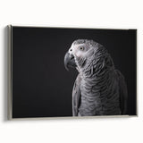 Framed wall art showcasing a vibrant collection of colorful parrots in a silver frame, perfect for enhancing modern home decor with a tropical touch.