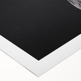 Vibrant rolled canvas artwork showcasing a colorful parrot design, perfect for tropical-themed decor. The artwork is meticulously rolled for safe shipping and display.