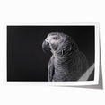 Vibrant rolled wall art print showcasing a colorful collection of parrot designs against a soft background, perfect for tropical-themed decor.