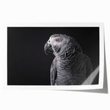 Vibrant rolled wall art print showcasing a colorful collection of parrot designs against a soft background, perfect for tropical-themed decor.