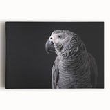 Colorful wall art design featuring a vibrant collection of parrots on a stretched canvas, showcasing intricate details and bright hues, perfect for nature lovers.