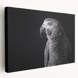 Vibrant stretched canvas wall art showcasing a colorful parrot design, perfect for adding a tropical touch to home decor. Ideal for bird lovers and nature enthusiasts.