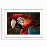 Colorful wall art collection showcasing a variety of parrot designs framed in white with matting, ideal for vibrant home decor and bird enthusiasts.