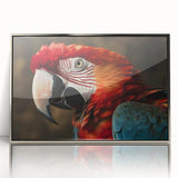 Framed acrylic wall art showcasing a vibrant collection of parrot designs, featuring bright colors and intricate details, ideal for bird lovers and home decor enthusiasts.