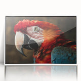 Framed acrylic wall art featuring colorful parrots in a vibrant design, showcasing a white border for a modern touch, perfect for bird lovers' home decor.