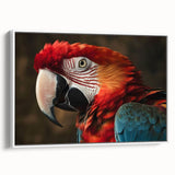 Framed canvas wall art featuring a vibrant parrot design with colorful feathers, set against a white background, showcasing a modern aesthetic perfect for home decor.