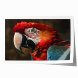 Vibrant rolled print showcasing a colorful parrot design, perfect for wall art decor, meticulously rolled and ready for easy framing to enhance any space.