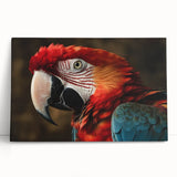 Colorful stretched canvas wall art featuring a vibrant parrot design, showcasing intricate details and rich hues, perfect for enhancing any living space or office decor.