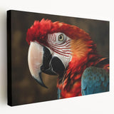Vibrant canvas wall art showcasing a colorful collection of parrots in various poses, ideal for tropical-themed decor or bird enthusiasts, framed for a striking display.