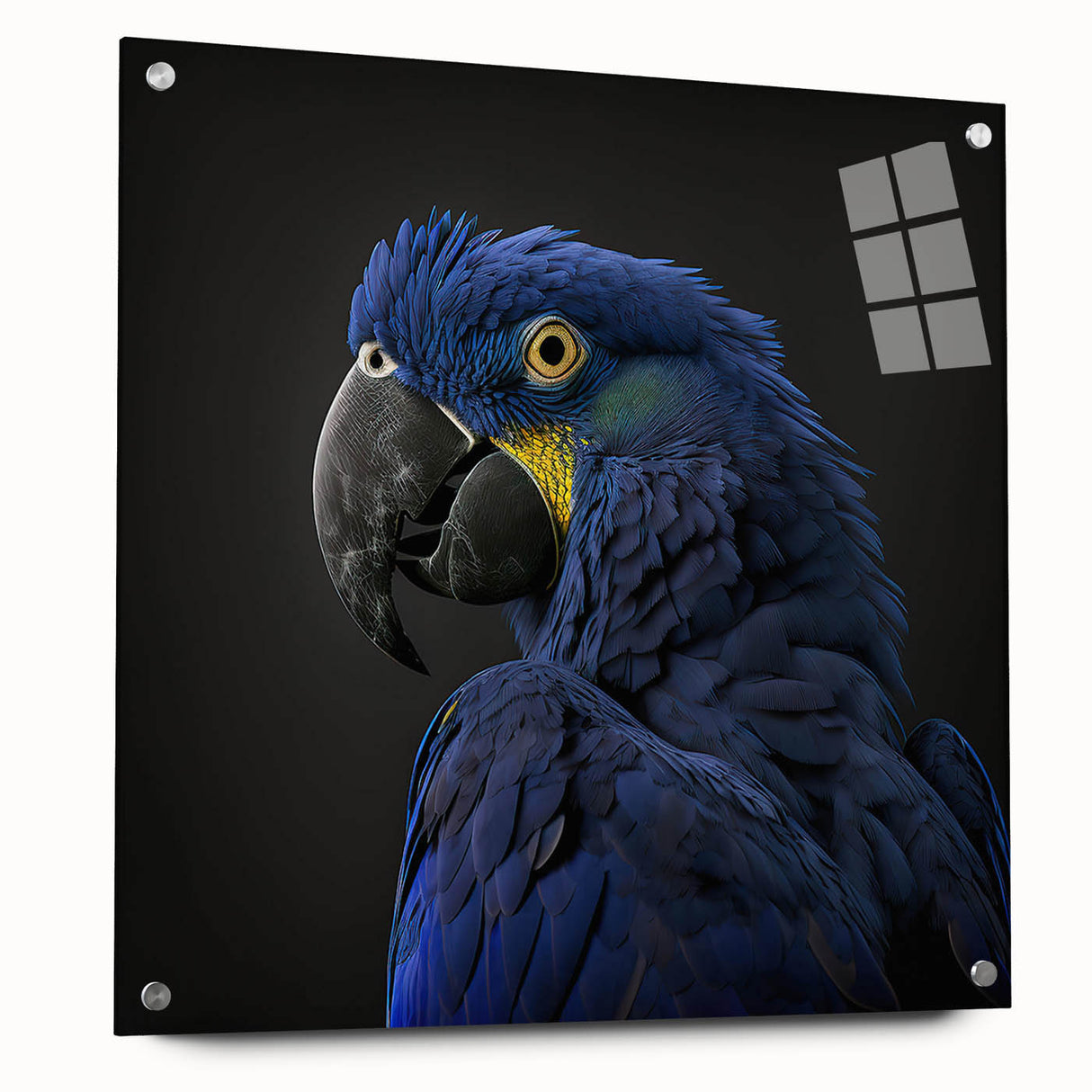Colorful wall art collection featuring an acrylic glass design of vibrant parrots, displayed in a stylish side view with decorative pins, perfect for home decor.