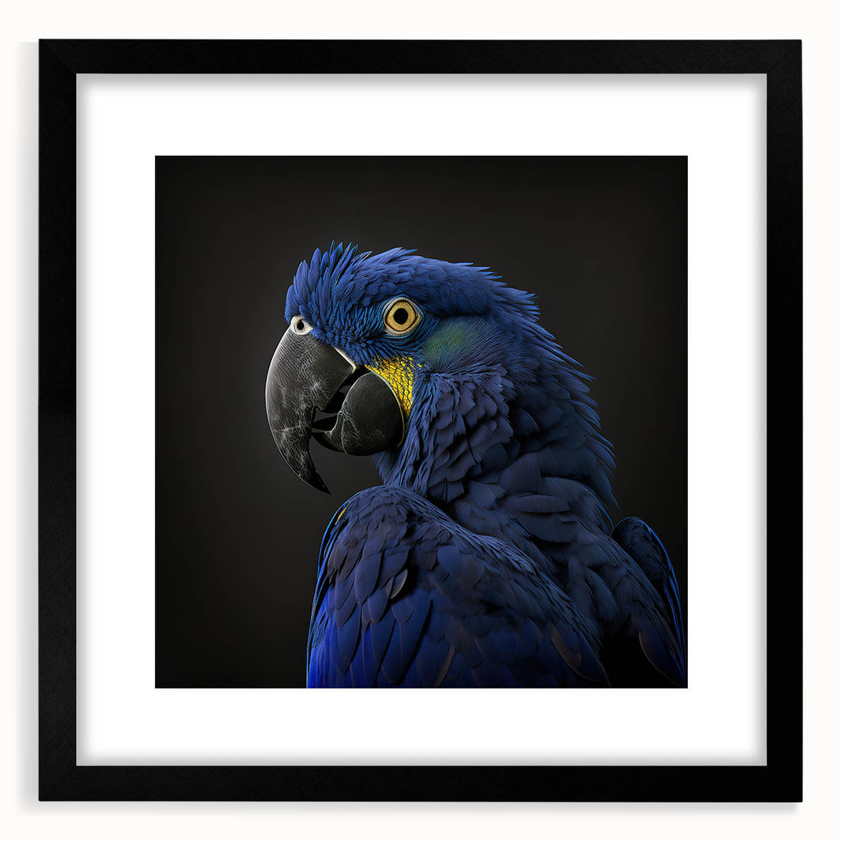 Framed wall art collection showcasing vibrant parrot designs in a sleek black frame, perfect for adding a tropical touch to home decor.