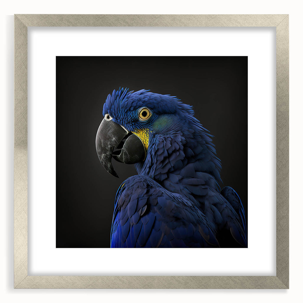 Framed wall art collection featuring vibrant parrot designs in silver matting, perfect for adding a tropical touch to home decor. Ideal for nature enthusiasts and bird lovers.