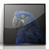 Framed wall art featuring a vibrant design of colorful parrots on a black background, showcasing intricate details and textures, perfect for bird lovers and home decor enthusiasts.