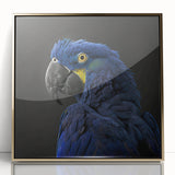Framed wall art featuring a vibrant collection of colorful parrots on a gold-acrylic background, ideal for adding a touch of nature-inspired elegance to any space.