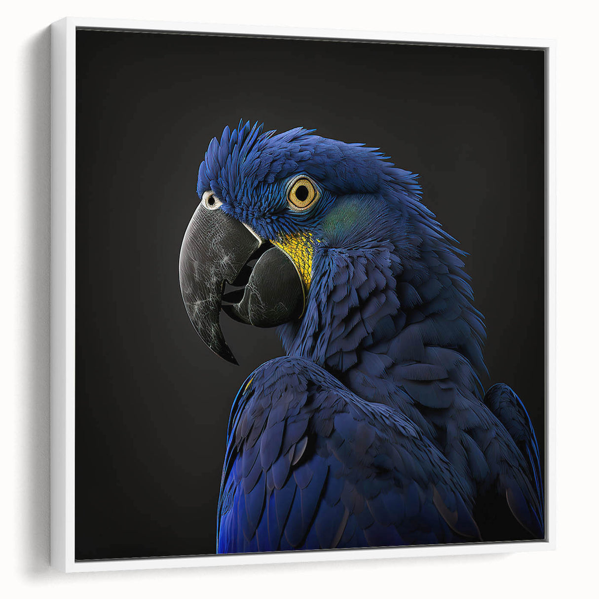 Framed wall art featuring a vibrant collection of parrot designs in various colors, showcasing a white frame and side view, perfect for bird lovers' decor.