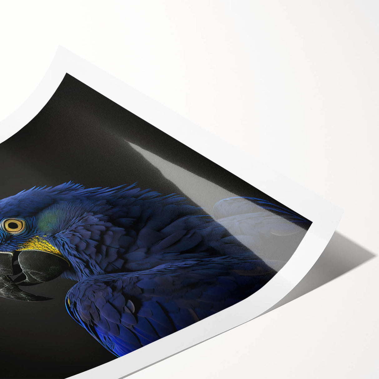 Colorful wall art collection showcasing various parrot species in a vibrant design. The rolled print features intricate details and vivid colors, perfect for nature enthusiasts and home decor.