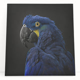 Colorful canvas wall art featuring a vibrant design of parrots perched among tropical leaves, ideal for adding a lively touch to any room decor.