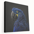 Vibrant canvas wall art featuring a colorful parrot design, showcasing intricate details and textures, perfect for home decor enthusiasts and bird lovers.